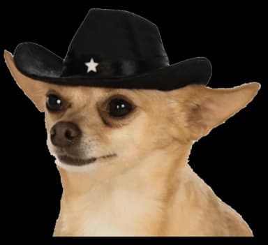 Black Pet Cowboy Hat by Rubie's
