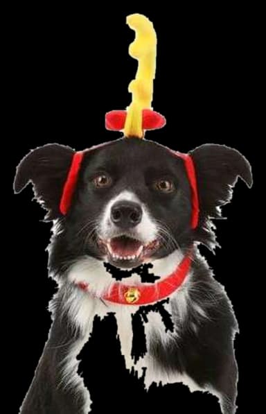 How the Grinch Stole Christmas Max Dog Costume by Elope