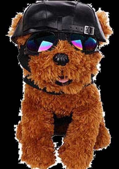 Leatherlike Biker Pet Costume by HMS