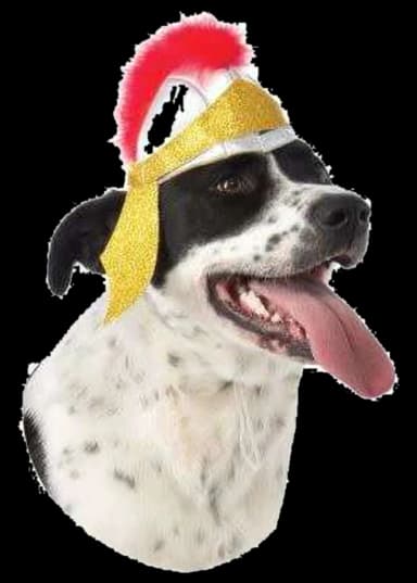 Cloth Roman Helmet for Dogs by Rubie's