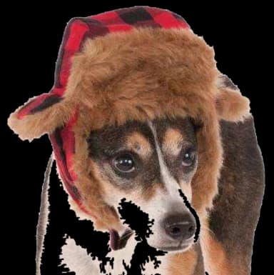 Pet Trapper Hat by Rubie's