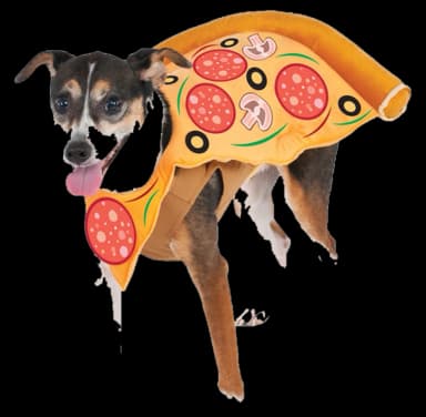 Pizza Slice Pet Costume by Rubie's