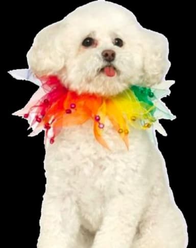 Rainbow Fancy Collar for Pets by Rubie's