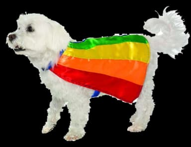 Rainbow Pet Cape by Forum Novelties