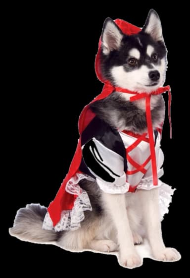 Red Riding Hood Pet Costume by Rubie's