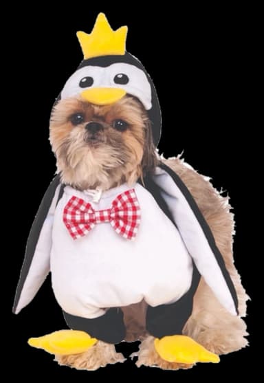 Walking Penguin Pet Costume by Rubie's
