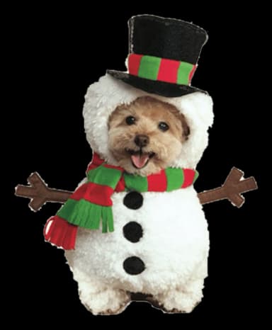 Walking Snowman Pet Costume by Rubie's