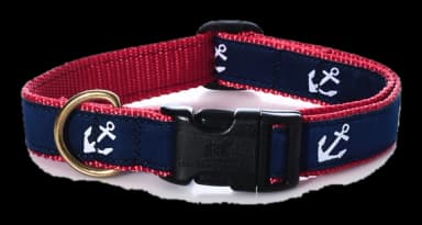 Anchors Dog Collar by Belted Cow