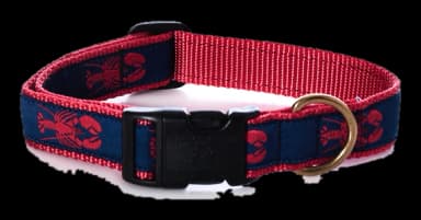Lobsters Dog Collar by Belted Cow