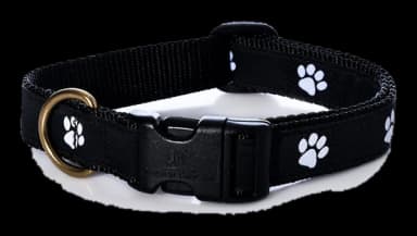 Paw Prints Dog Collar by Belted Cow