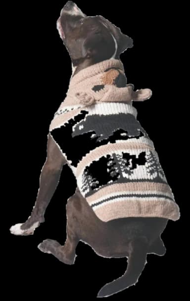 Brown Bear Dog Sweater by Chilly Dog