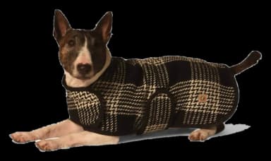 Black and White Blanket Dog Coat by Chilly Dog