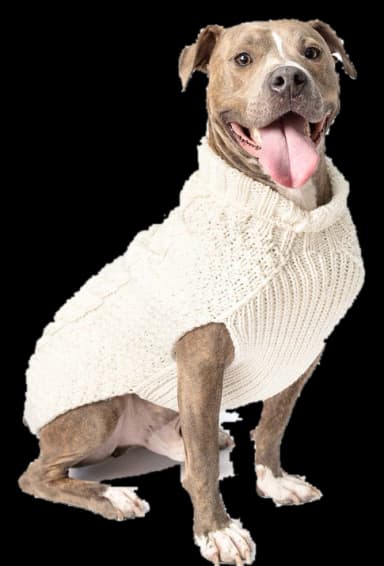 Cable Knit Dog Sweater by Chilly Dog