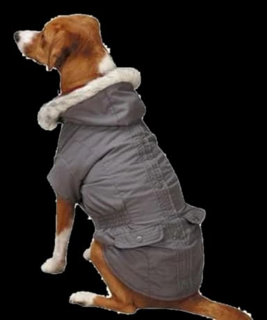 3-in-1 Dog Winter Hooded Jacket by East Side Collection