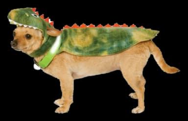 Dinosaur Dog Costume by GreaterGood