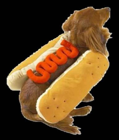 Hot Diggity Dog Costume with Ketchup by Casual Canine