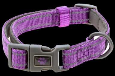 Signature Comfort Reflective Dog Collar by GreaterGood