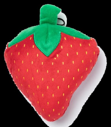 Strawberry Squeaker Dog Toy by PetLou