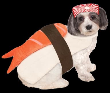 Sushi Pet Costume by GreaterGood