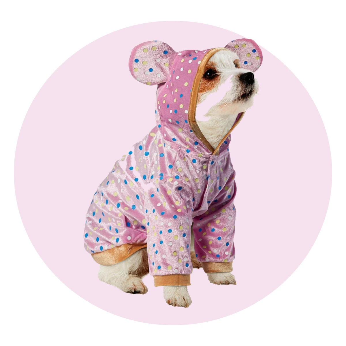 Animal Cracker Pet Costume