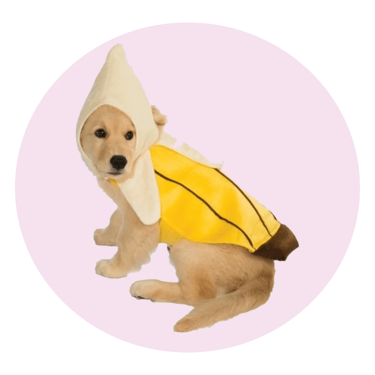 Peeled Banana Pet Costume