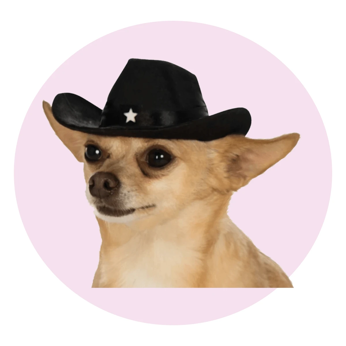 Black Pet Cowboy Hat