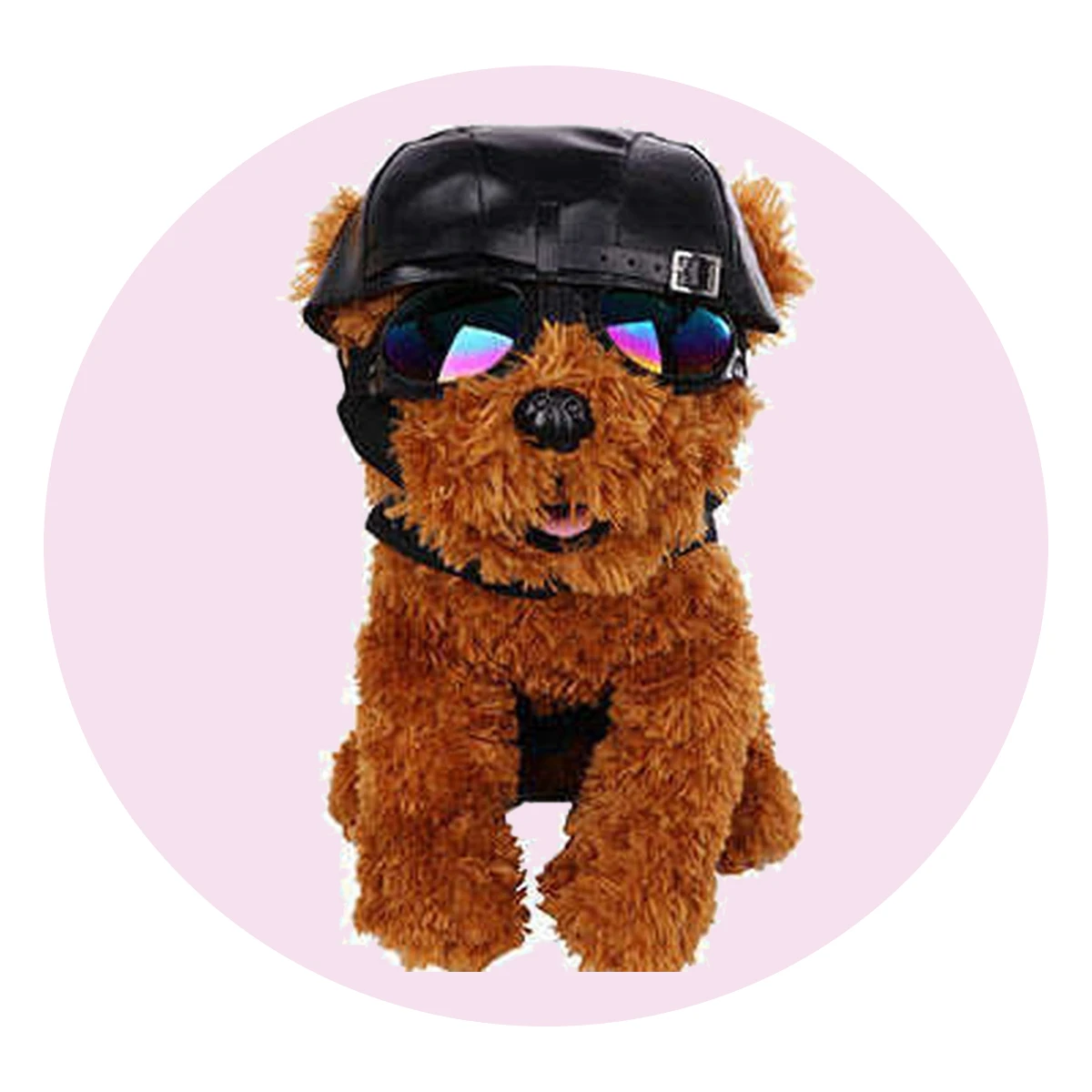 Leatherlike Biker Pet Costume