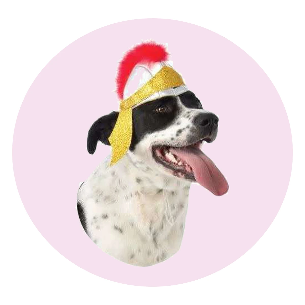 Cloth Roman Helmet for Dogs