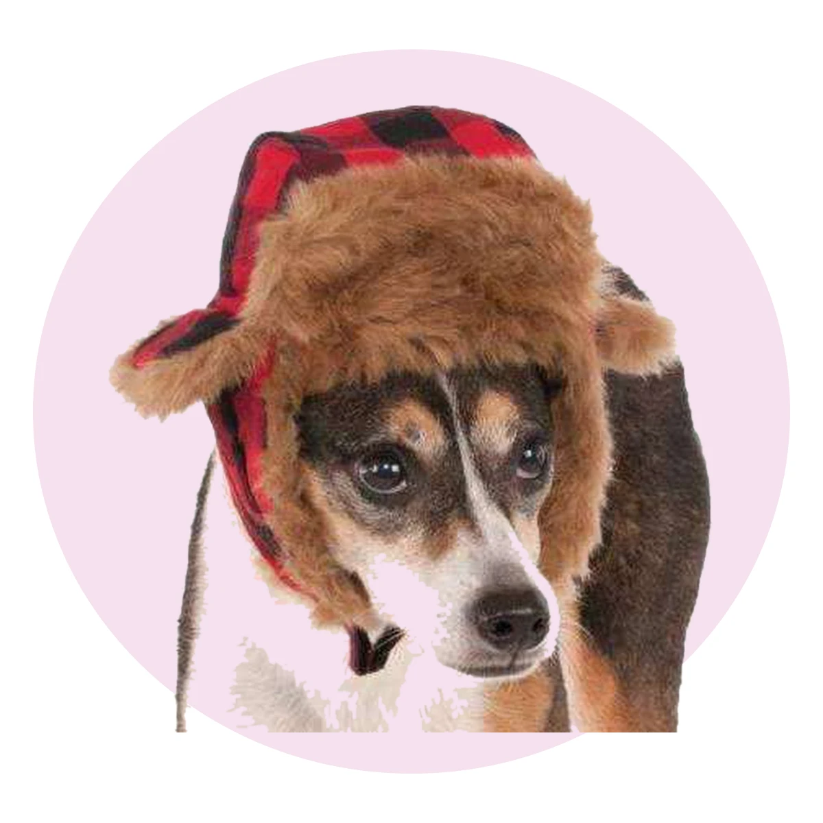 Pet Trapper Hat