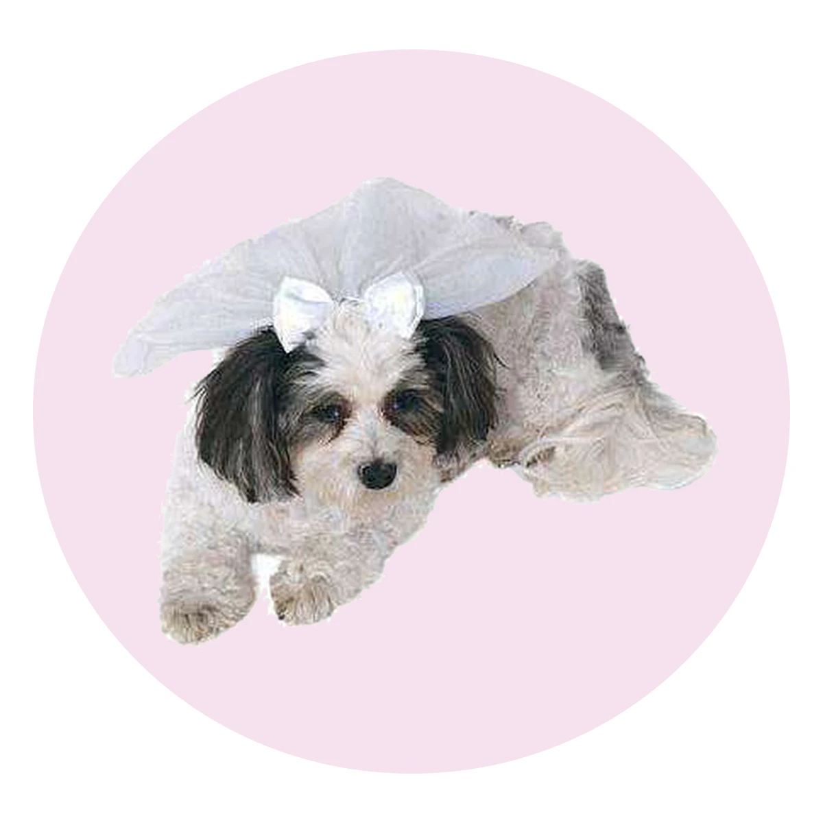Pet Wedding Veil