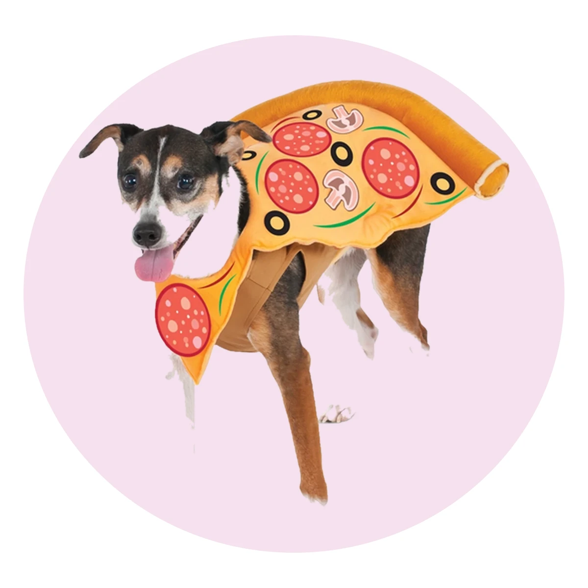 Pizza Slice Pet Costume