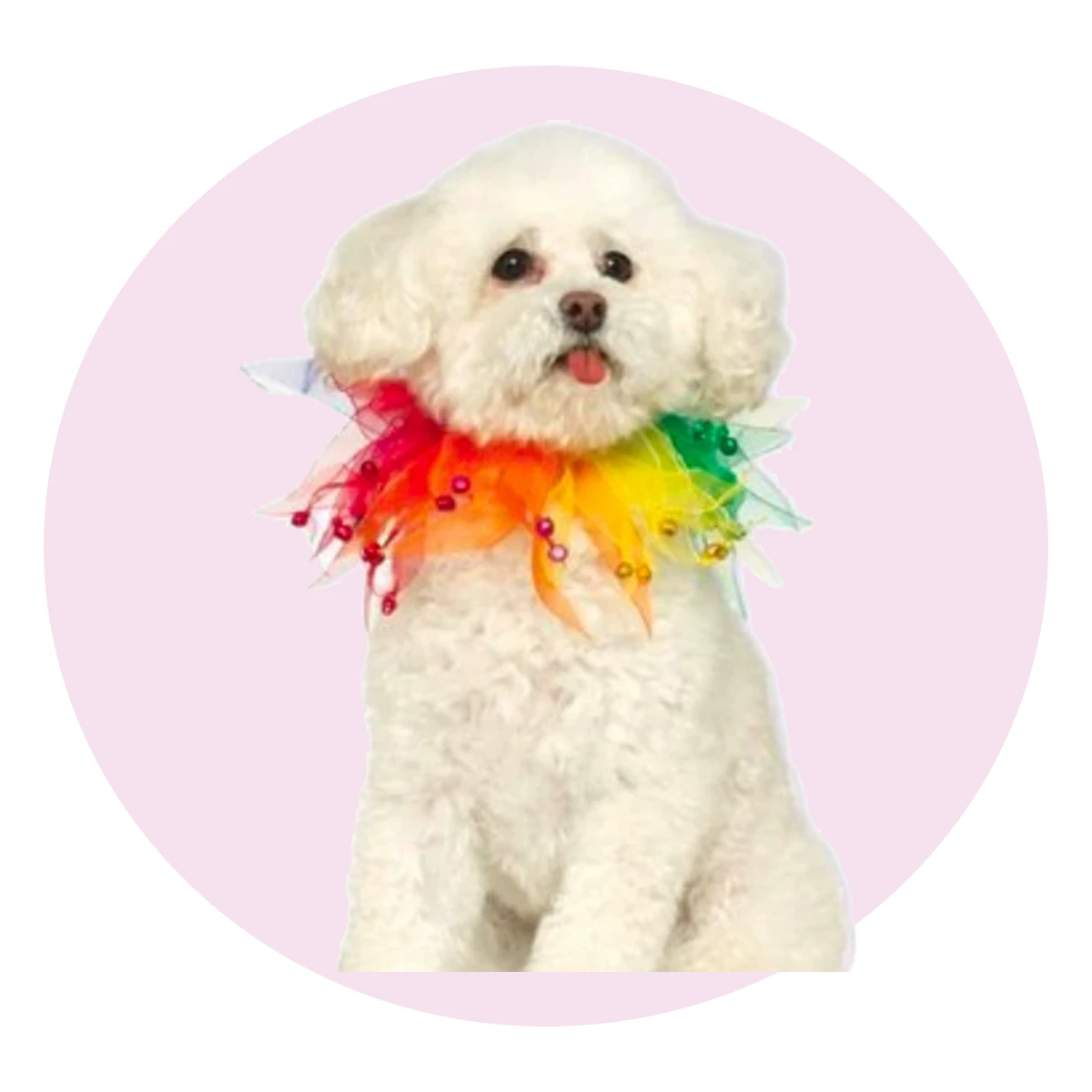 Rainbow Fancy Collar for Pets