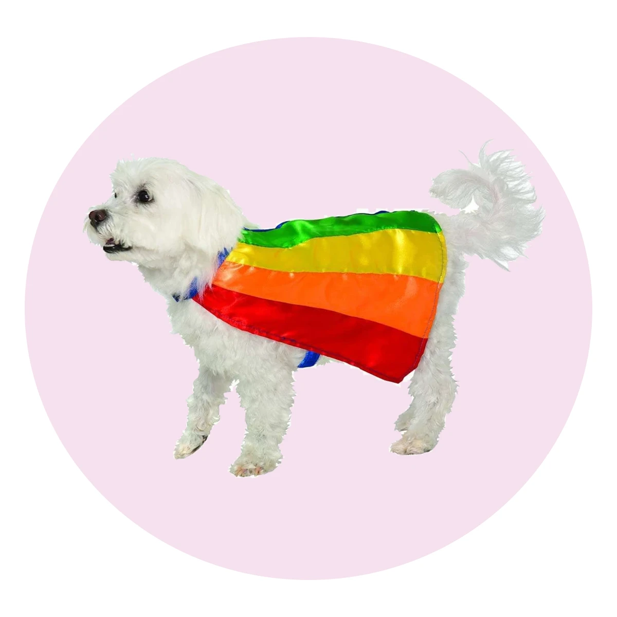 Rainbow Pet Cape
