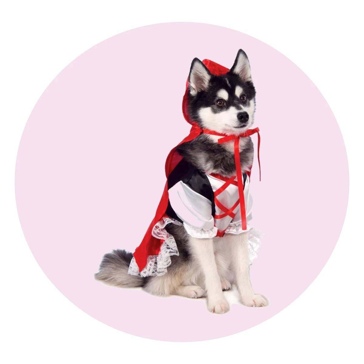 Red Riding Hood Pet Costume
