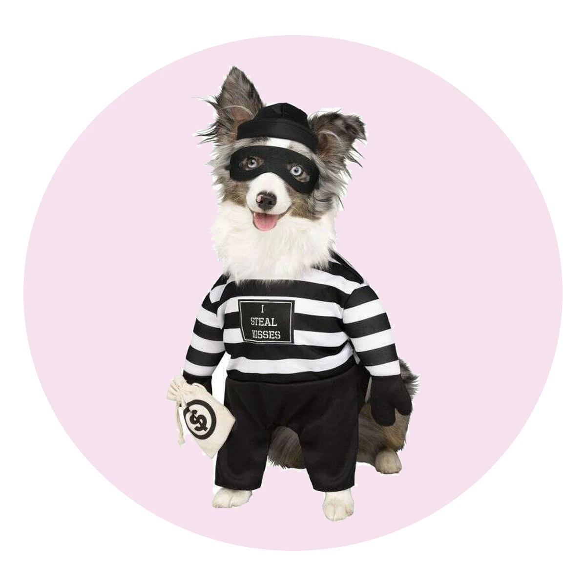 Robber Pet Costume