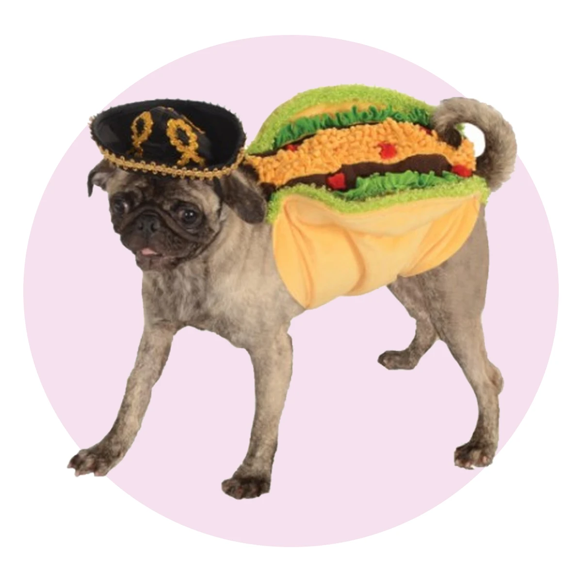 Taco Pet Costume