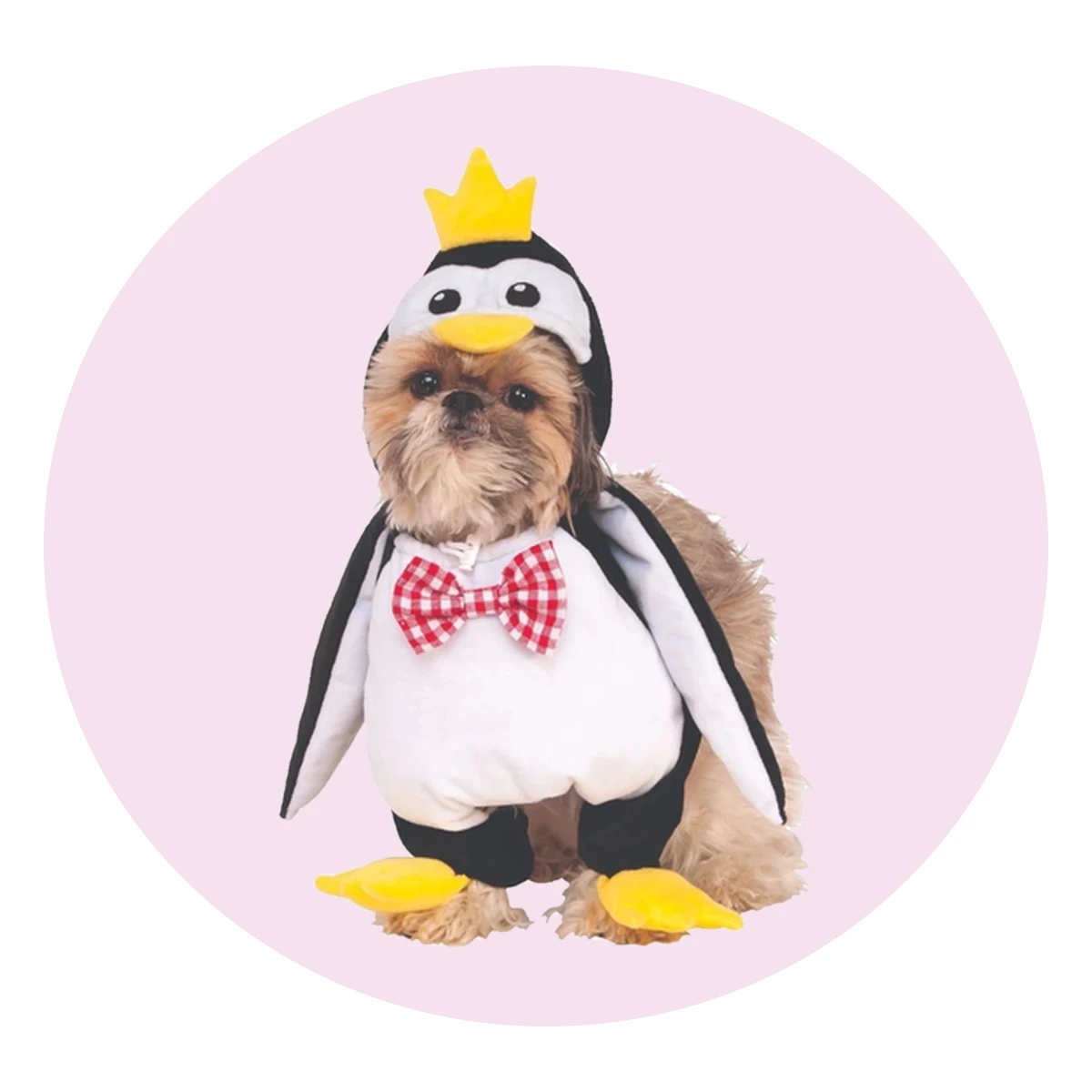 Walking Penguin Pet Costume