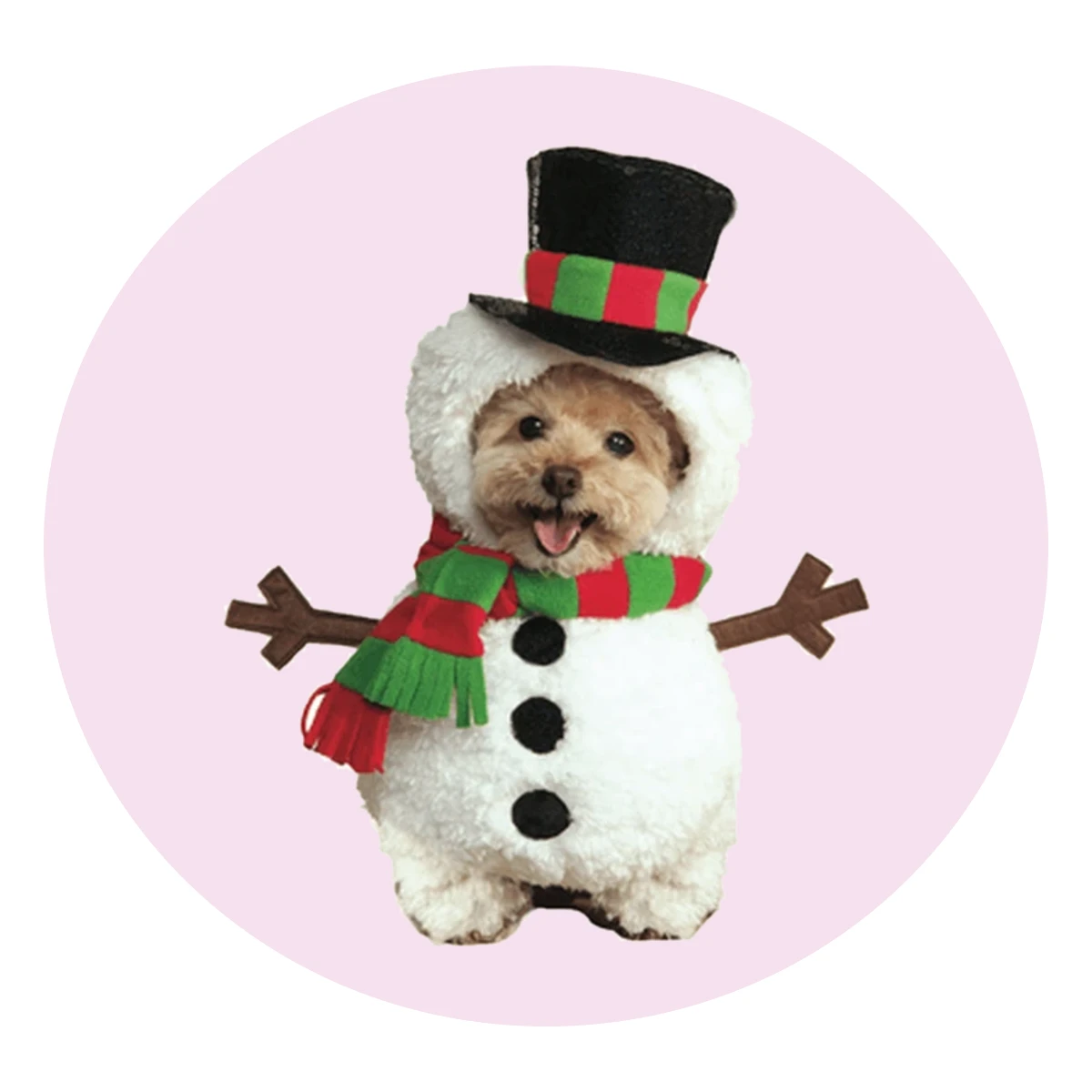 Walking Snowman Pet Costume