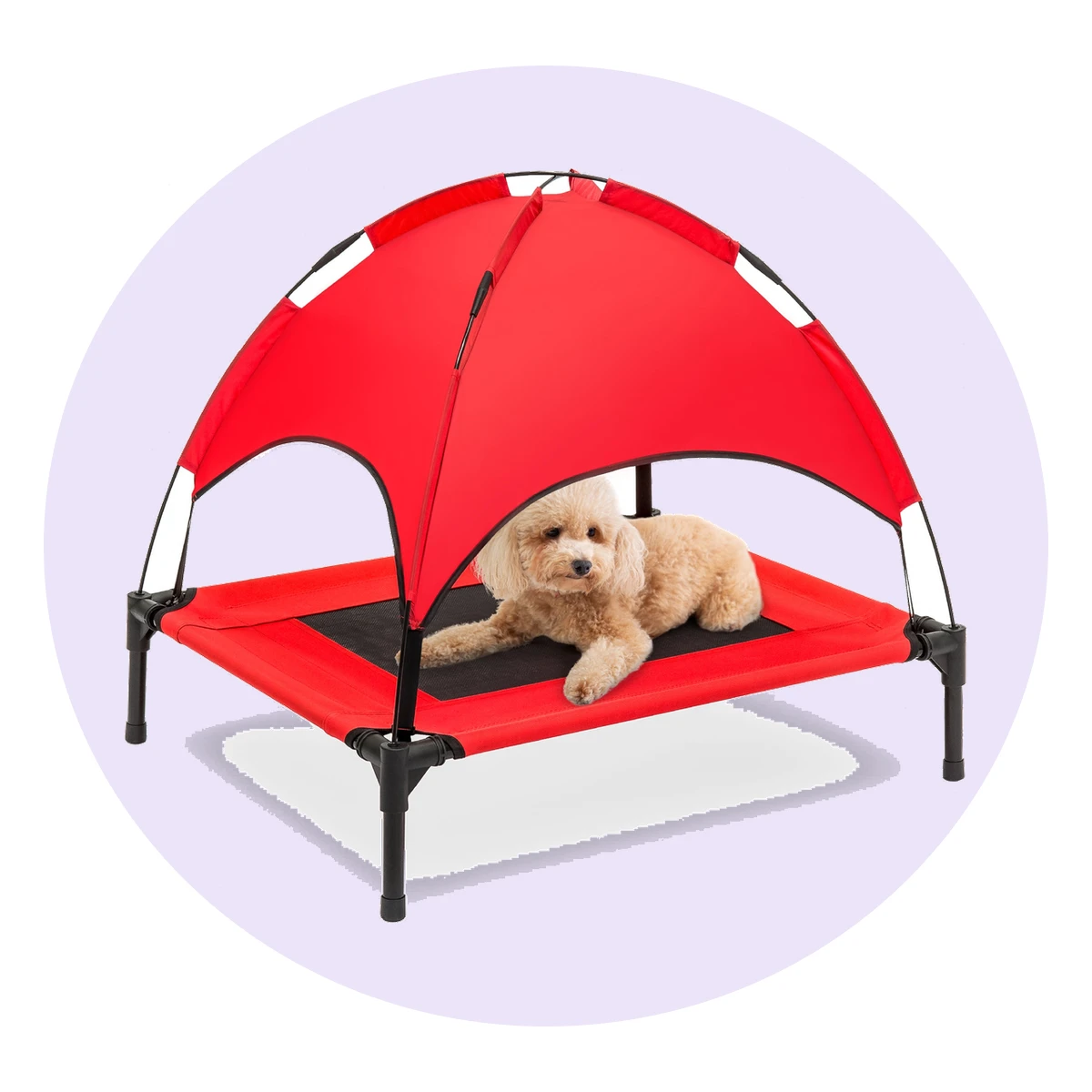 Elevated Dog Cot with Canopy