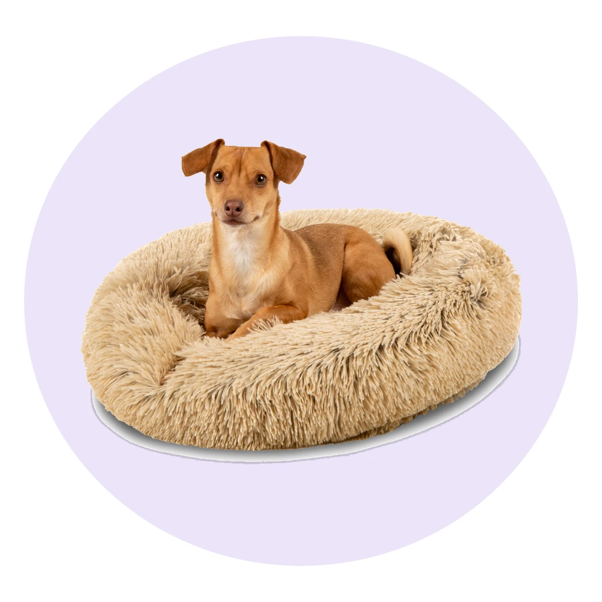 Self-Warming Shag Donut Pet Bed