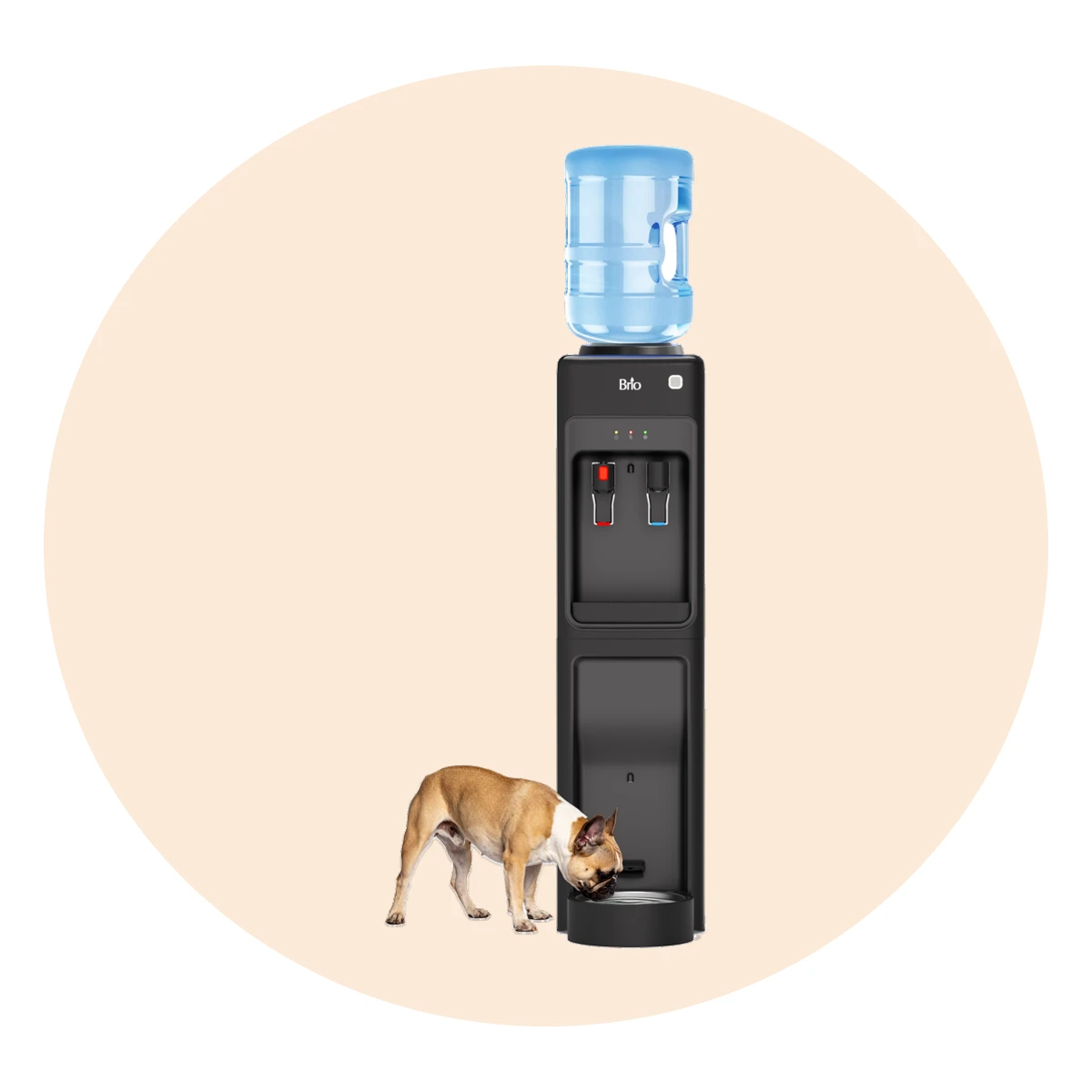 Top Load Water Dispenser with Pet Station (Model 320)