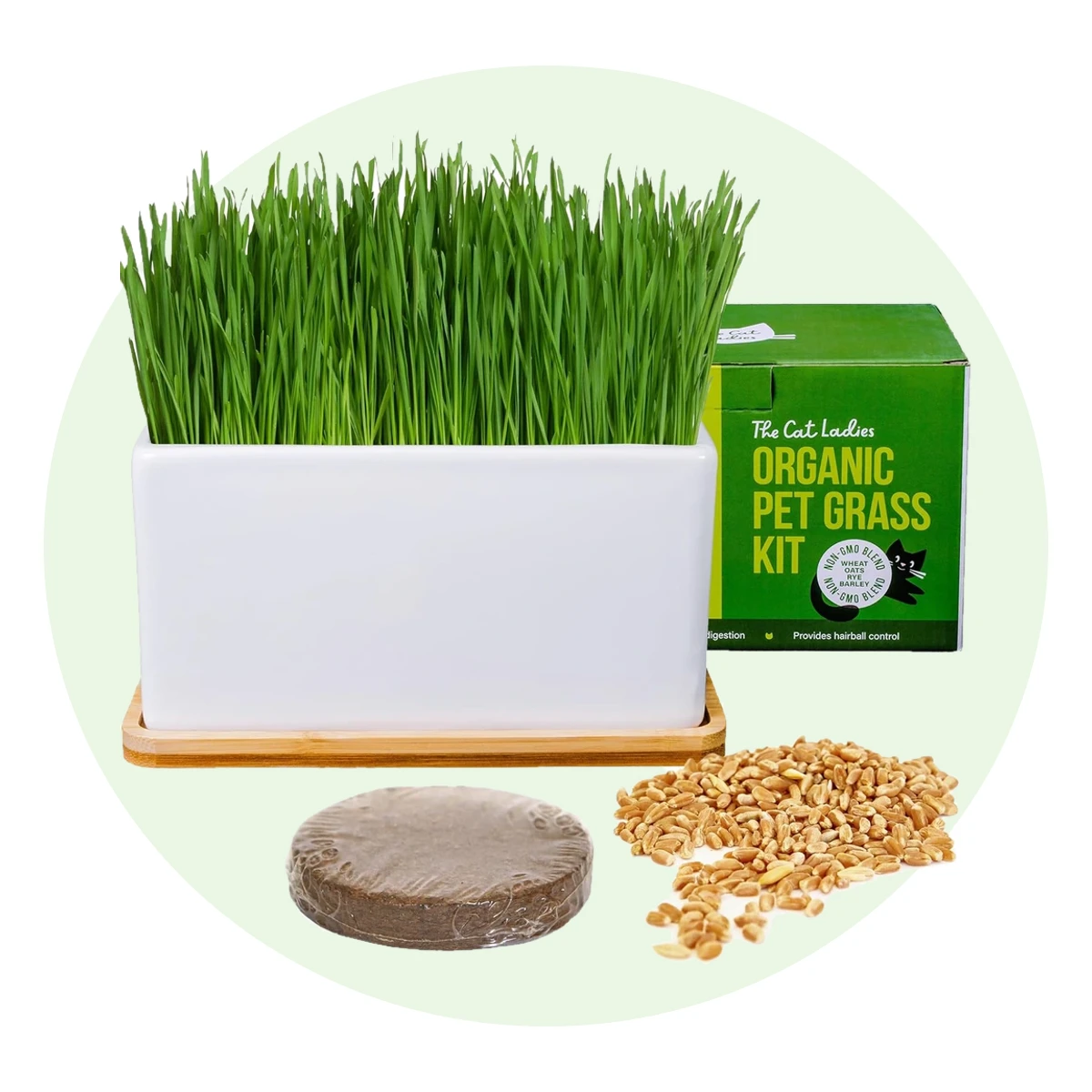 Ceramic Planter with Bamboo Tray Cat Grass Kit