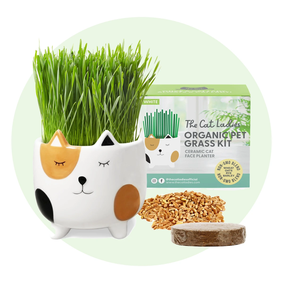 Cat Grass Kit with Cat Face Planter