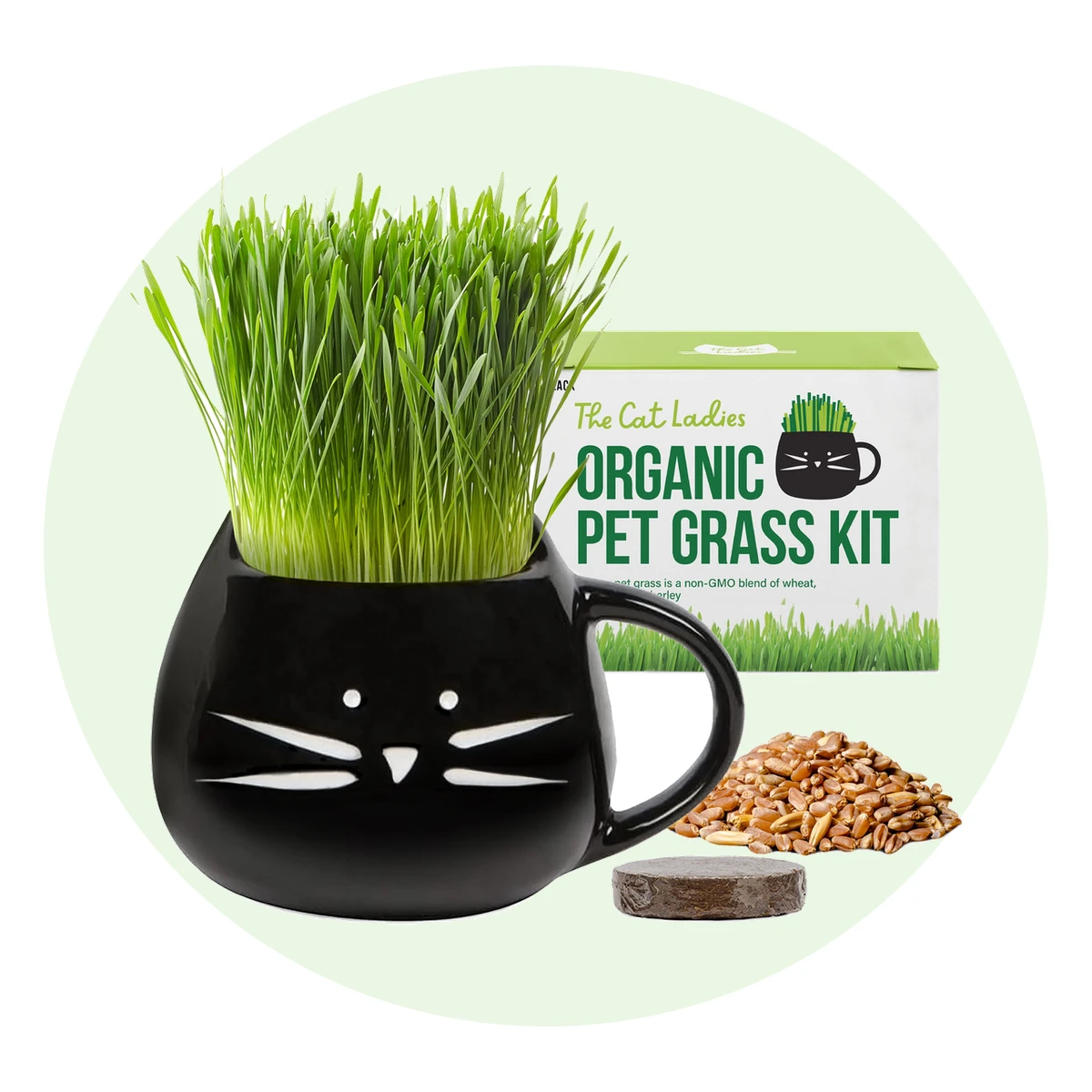 Cat Grass Kit with Cat Mug Planter