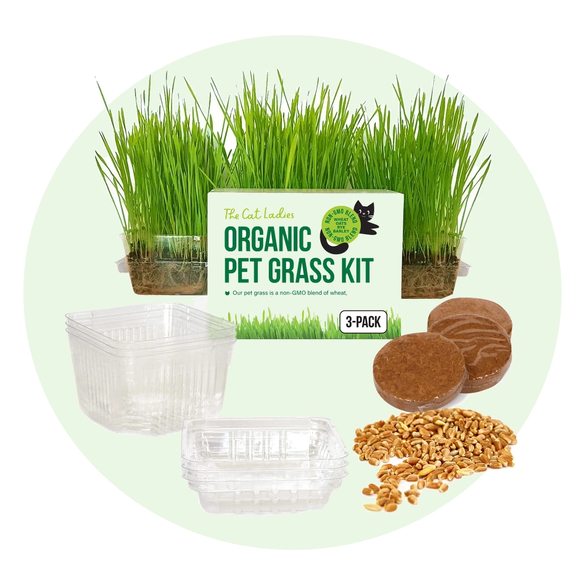 Cat Grass Growing Kit, 3 Pack