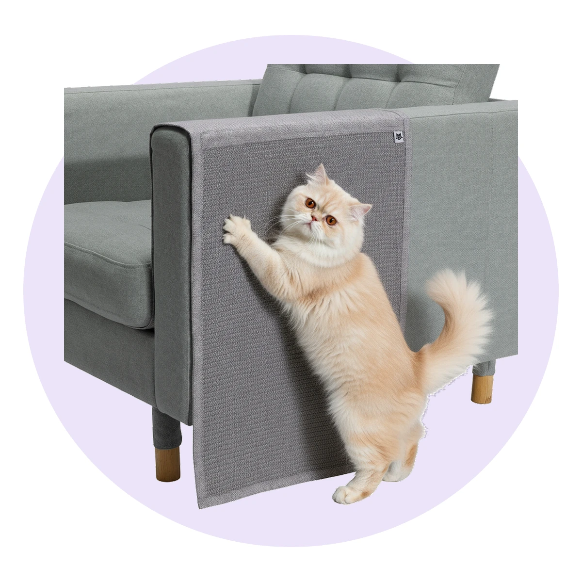 Cat Scratch Furniture Protector