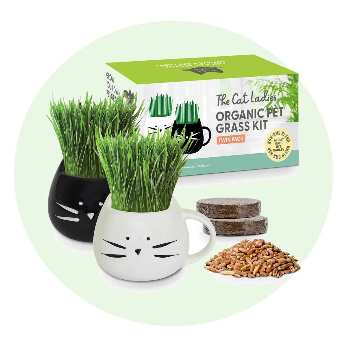 Cat Grass Kit with Two Cat Mug Planters