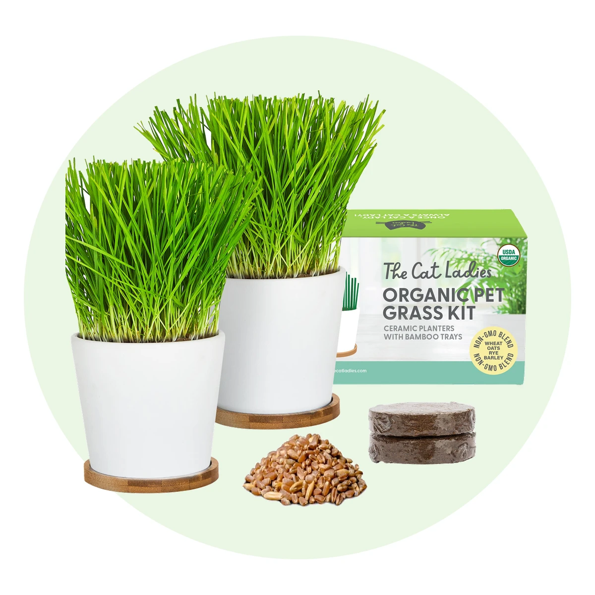 Two Pack Ceramic Planters with Bamboo Trays Cat Grass Kit