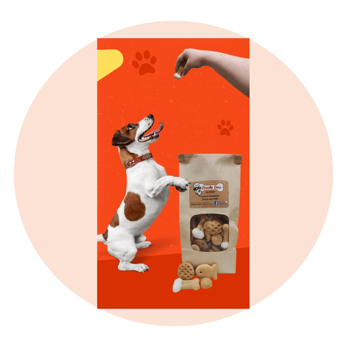 Homemade Dog Treat Party Bag, 1 lb