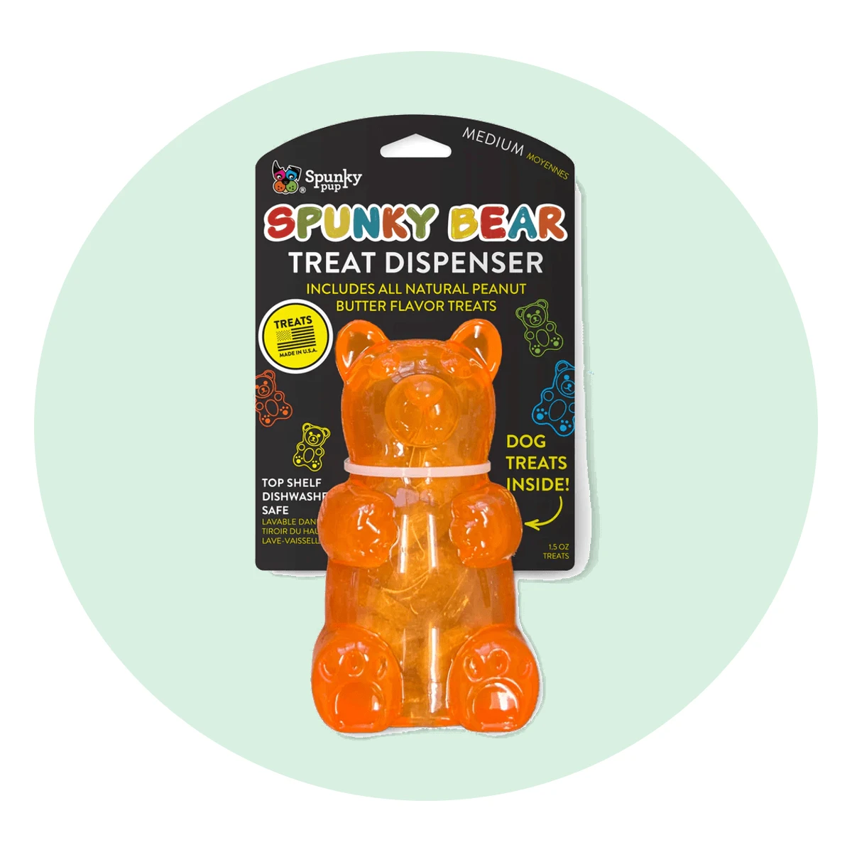 Spunky Bear Squeaky Toy